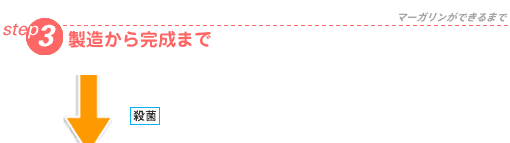STEP3 �������犮���܂�